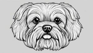 Popular Shih Tzu Coloring Pages