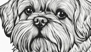 Realistic Shih Tzu Coloring Pages